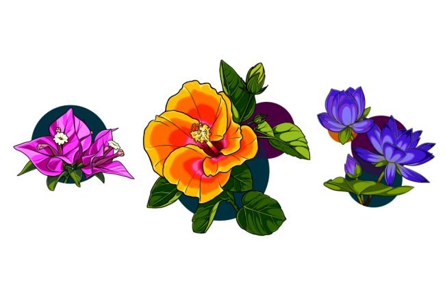 Illustrated artwork of a pink bougainvillea flower, orange hibiscus flower and purple lotus flower