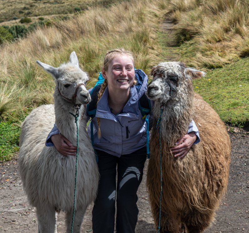 A student smiles between two llamas next to a hillside in Ecuador.