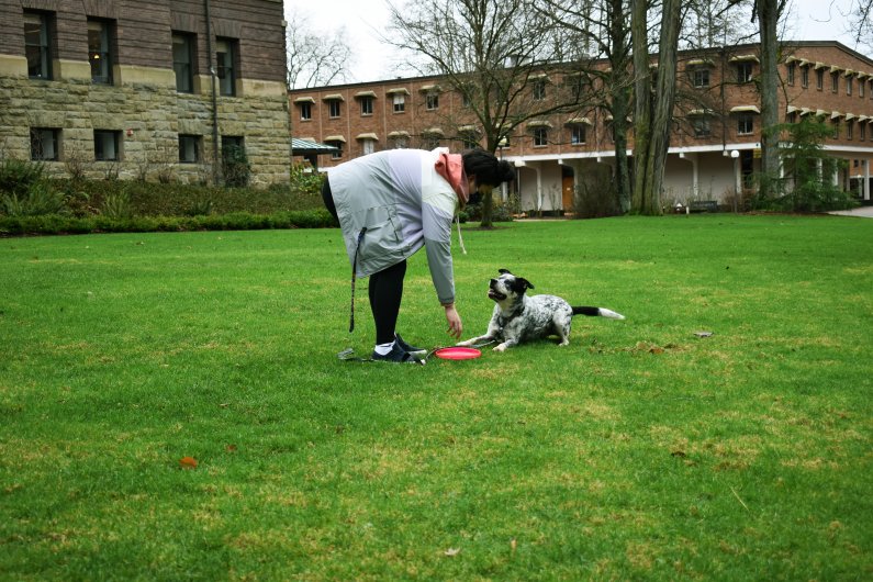 A person plays with their dog on the lawn in front of Old Main.