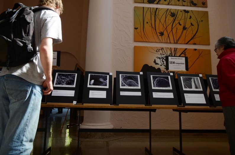 Students admire photographs from the Scanning Electron Microscope photo contest during a Scholars Week presentation Friday, May 20, outside the Wilson Library Reading Room. Photo by Daniel Berman | University Communications intern