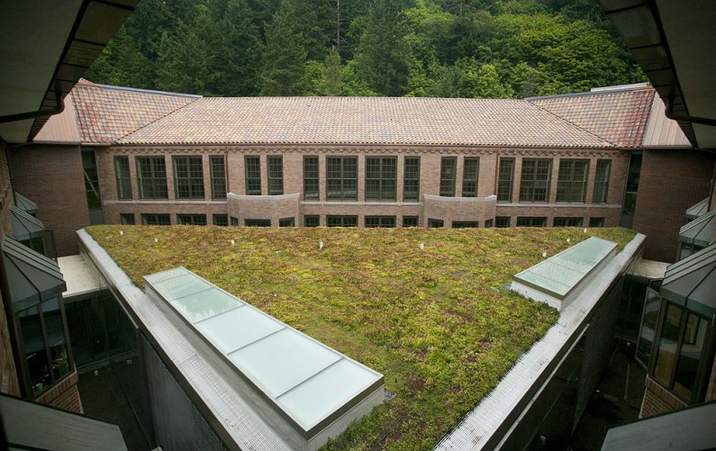 The green roof, over the new Student Collaboration Space in what was the old building courtyard, is covered by low-maintenance sedum plants that offer heat and sound insulation to the space. Photo by Matthew Anderson | WWU