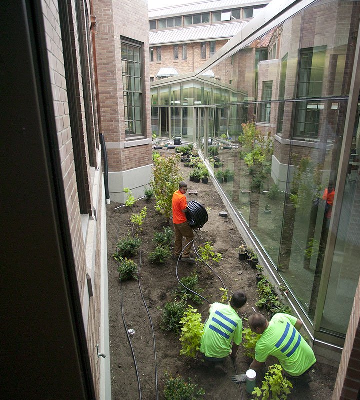 Workers complete the installation of a plant irrigation system in the open area surrounding the new Student Collaboration Space in the former courtyard. Irrigation is fed by water collected from the building's green roof. Photo by Matthew Anderson | WWU
