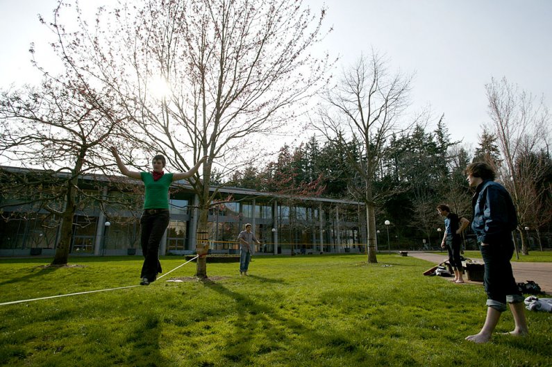 Western Washington University student Ruthie Taylor, left, practices her slacklining while friends (left to right) Frank Vitolo, Cory Olson and Cameron Frazier look on. University gardener Randy Godfrey recently placed protective wooden guards on a couple