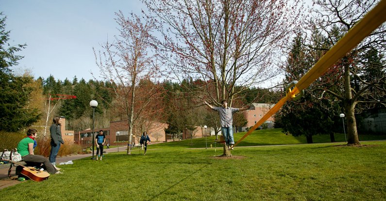 Western Washington University students (from left) Ruthie Taylor, Tracy Pennell and Cory Olson watch as fellow students Cameron Frazier and Frank Vitolo practice their slacklining on the WWU campus March 18. University gardener Randy Godfrey recently plac