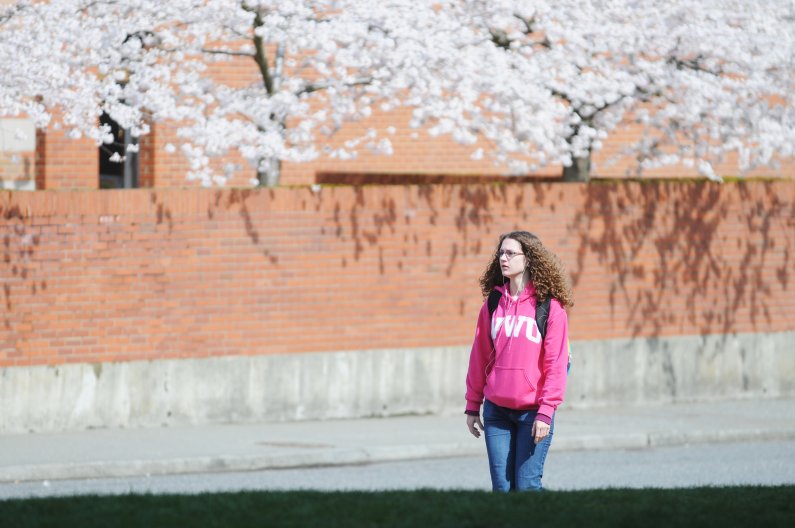 Western students and faculty take in the sight of cherry blossoms in bloom outside of the Performing Arts Center on Wednesday, April 6, 2011. Photo by Daniel Berman | University Communications intern