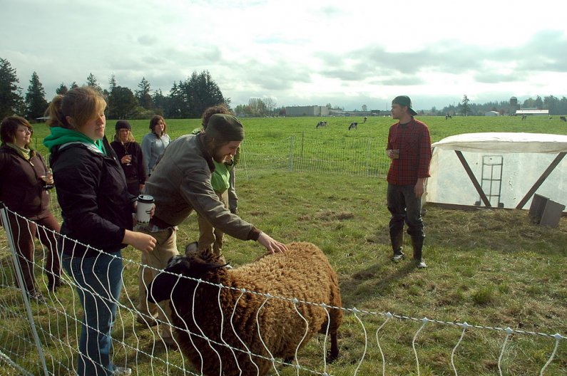 WWU alumnus Michael Long, right, of Growing Gardens farm in Lynden, talks to Fairhaven students about raising sheep and chickens in a rotational grazing system. Photo courtesy of John Tuxill