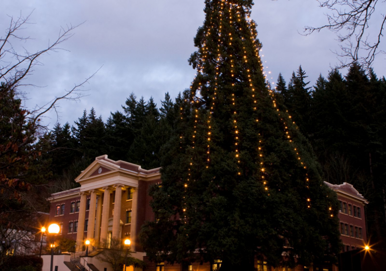 Lights cascade down a large tree outside of Edens Hall on Western's campus. The tree is decorated annually in celebration of the holiday season. Photo by Jon Bergman | WWU intern