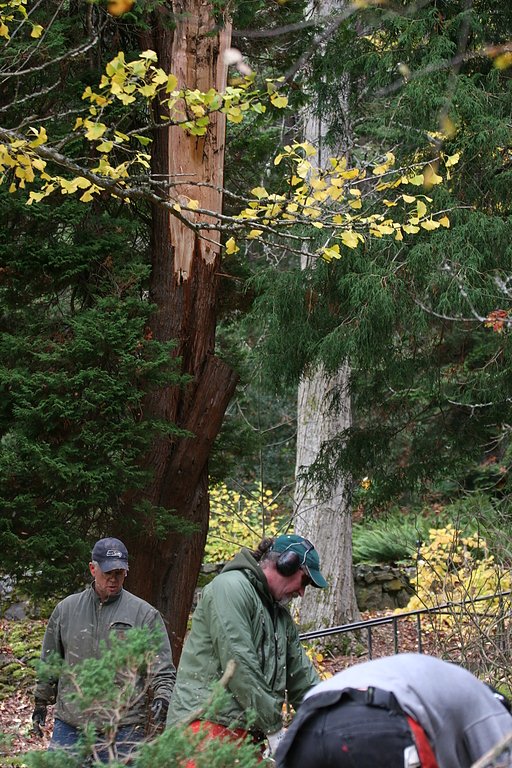 Workers on Western's utility crew clean up after a tree branch fell in front of Old Main on the WWU campus during heavy winds Thursday, Nov. 5. The National Weather Service has issued a wind advisory, which is in effect until midnight tonight. Photo by Mi
