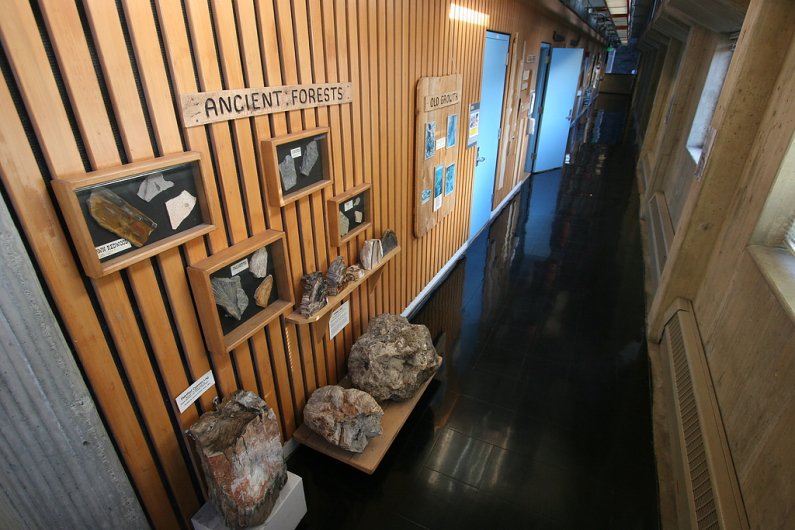 The geology displays were constructed and are maintained by George Mustoe.
Photo by Michael Leese | WWU intern