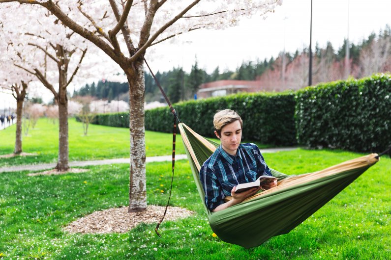 William Simpson, senior, hammocks under the Comm Lawn cherry blossoms while engaging in a light read Monday, April 9
