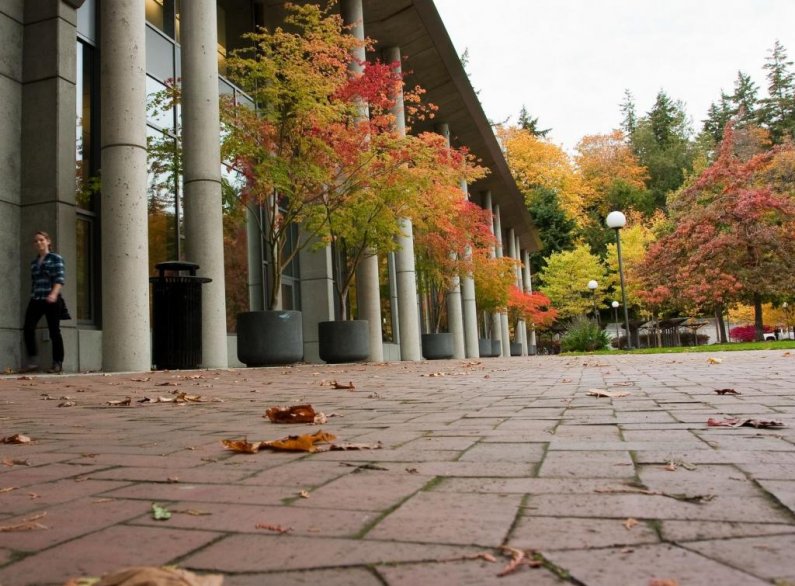 Colorful leaves begin to litter the ground outside of the Science, Mathematics and Technology Education building on Thursday, Oct. 15. Photo by Jon Bergman | WWU intern