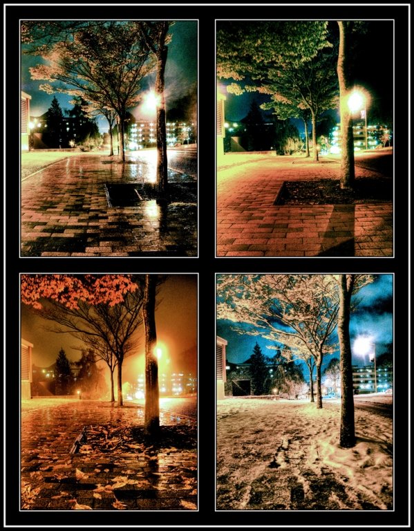 "Seasons," by Quinn Wilson. Photo taken over the course of a year in front of the Viking Commons on the WWU campus.