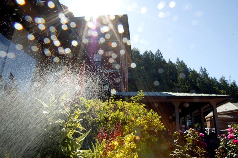 A sprinkler works hard to keep plants outside Old Main on the Western Washington University campus from getting too thirsty on Thursday, July 15. Photo by Matthew Anderson | University Communications