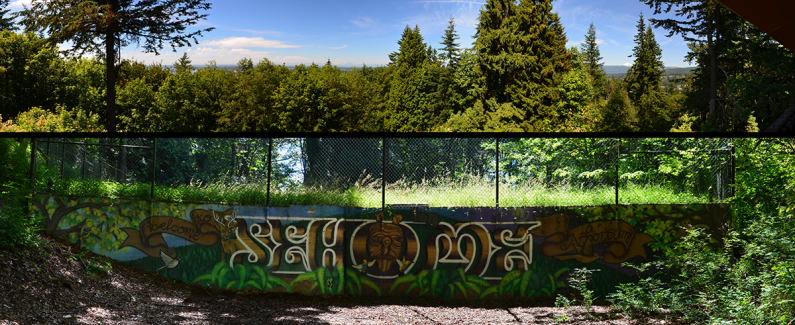 These panoramas show (top) the view from the arboretum tower and (bottom) the Sehome Arboretum mural. Photos by Paul Grzelak / WWU Communications and Marketing intern