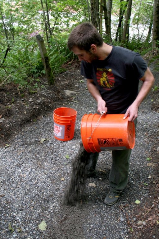 Western junior Ian Lucas dumps out buckets of gravel at the south campus arboretum shortcut trail behind Miller Hall Wednesday, June 2. The new trail and wooden stairway were constructed by the Geology 417D spring block instructed by Dave Engebretson, and