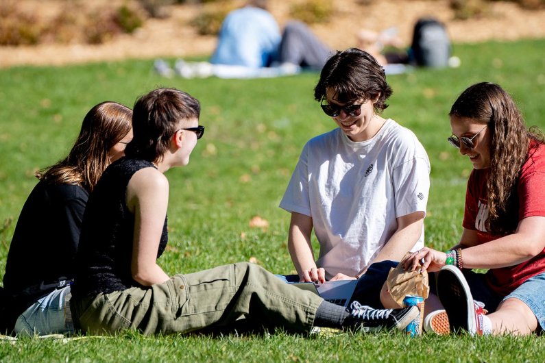 A group of four students sits in the grass, engaging in an animated conversation.
