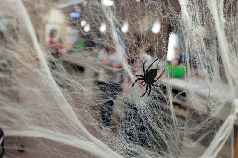 Decorative spider-webbing draped as part of the pirate-themed treasure hunt in Wilson Library Wednesday, Oct. 26, 2011. Photo by Rhys Logan | University Communications intern