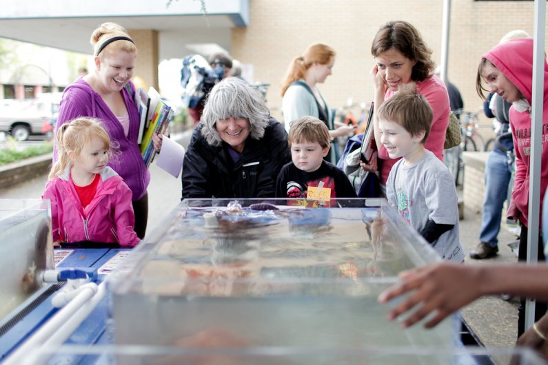 Bellingham residents and passers-by stop to look at the touch tanks at the Shannon Point Marine Center’s booth outside of Bellingham Public Library September 22, 2011.