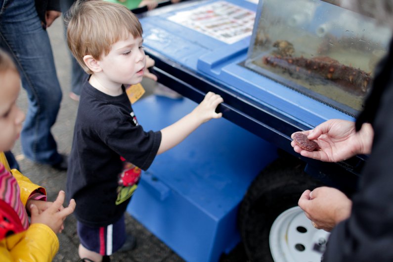 Three year old Wesley Allen of Bellingham inspects a scallop at the Shannon Point Marine Center’s booth outside of Bellingham Public Library September 22, 2011.