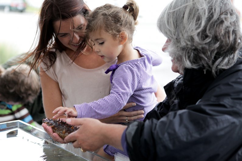 Brittany O’Brien (left) and her 3-year-old daughter Kennedy react after touching the rubbery spines of a sea cucumber at the Shannon Point Marine Center’s booth outside of Bellingham Public Library Sept. 22, 2011. Photo by Rhys Logan | University Communic