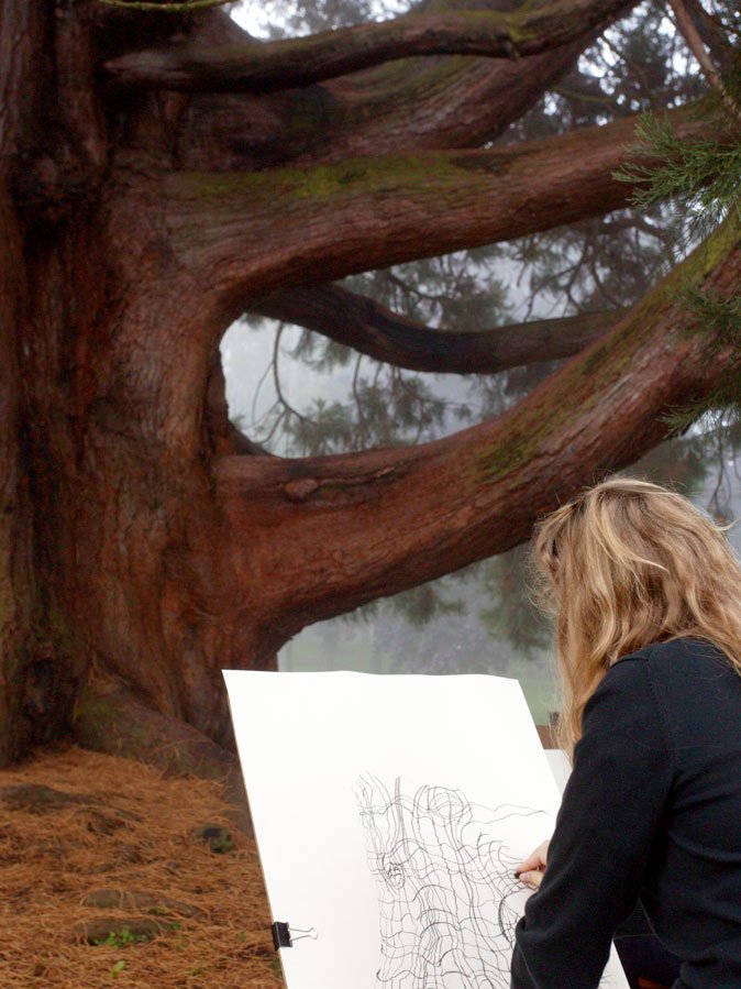 Kyla Hall, a freshman in assistant professor of art Cynthia Camin's beginning drawing class sketches, the large sequoia tree near Edens Hall Thursday morning, Sept. 30. Photo by Matthew Anderson | University Communications