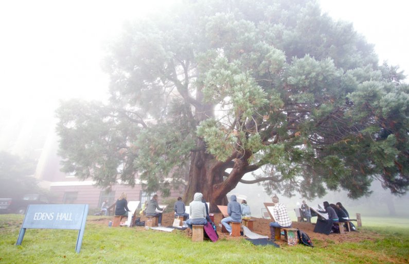 Students in assistant professor of art Cynthia Camin's beginning drawing class sketch the large sequoia tree near Edens Hall Thursday morning, Sept. 30, under a blanket of fog. Photo by Matthew Anderson | University Communications