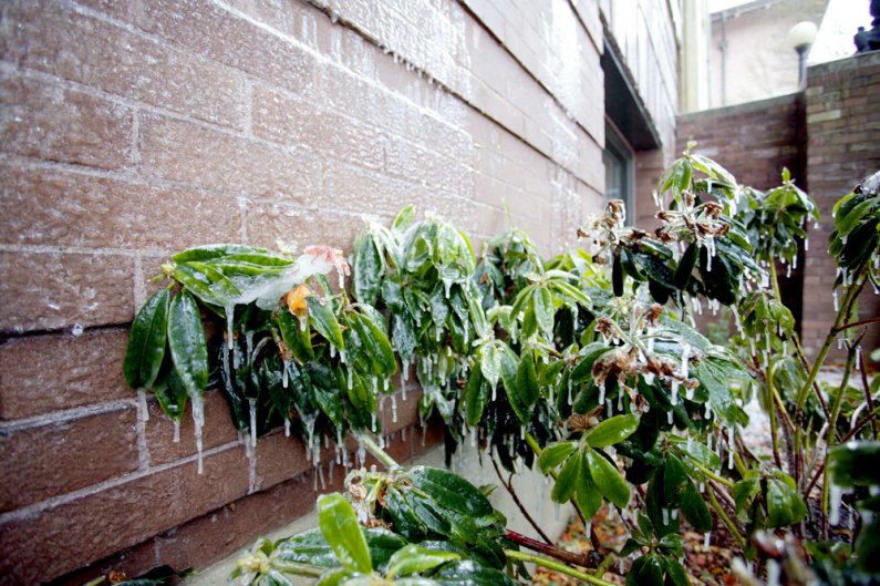 <p>
	Much of the water that spilled from the fifth floor of Old Main cascaded down the outside of the building and subsequently froze. Photo by Matthew Anderson | WWU</p>
