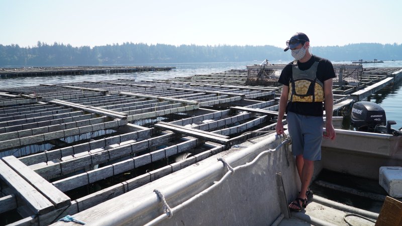 WWU grad student Casey Pruitt prepares to set up his data collection station at a floating mussel aquaculture pen on Totten Inlet northwest of Olympia. 