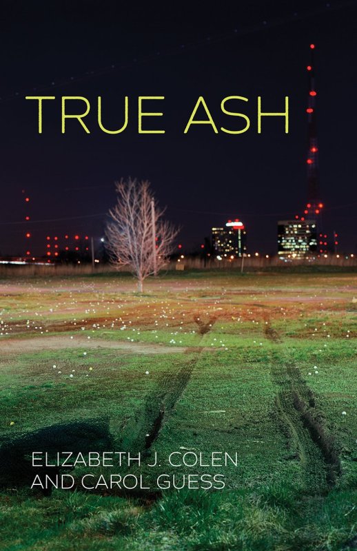 true ash cover image