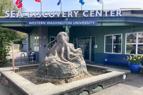 An octopus sculpture sits outside the entrance to the SEA Discovery Center.
