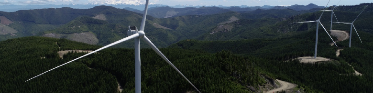 PSE's Skookumchuck wind facility high in the Cascade foothills