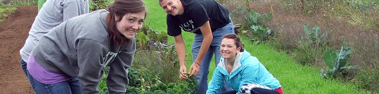 Western students (l-r) Erinn Crosby, Ashleigh Abhold, Emma Brumley, Josh Heintz and Shelby Huff pick vegetables at the Bellingham Food Bank farm as part of their study of hunger in Whatcom County in an Economic Anthropology class taught by Kathleen Saunde