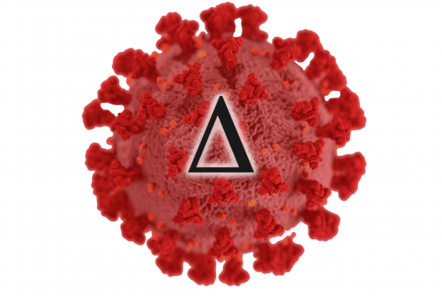 a red coronavirus cell, ball-shaped with triangle-shaped nodes extending outward