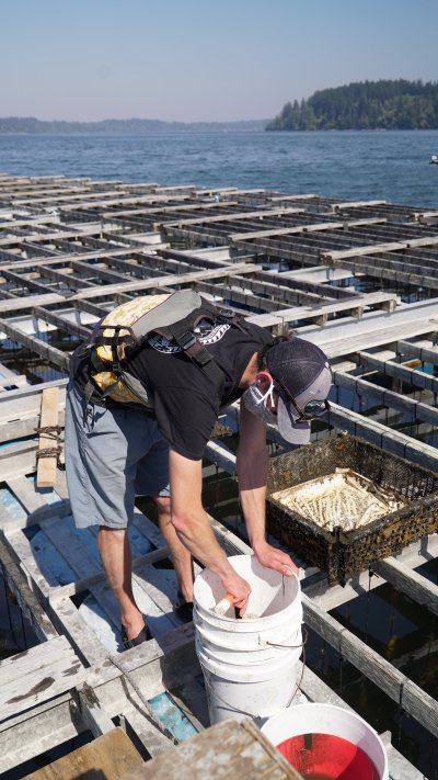WWU grad student Casey Pruitt prepares to set up his data collection station at a floating mussel aquaculture pen on Totten Inlet northwest of Olympia. 