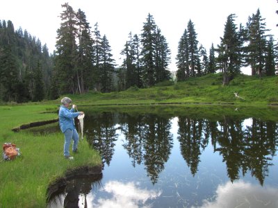 Robin Matthews samples algae from Anderson Lake in the Mt. Baker-Snoqualmie National Forest.