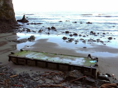 Debris from the Japanese tsunami such as this 70-foot dock that washed ashore near Forks will be the focus of a new study by Western's Rebekah Green. Photo courtesy of the National Parks Service