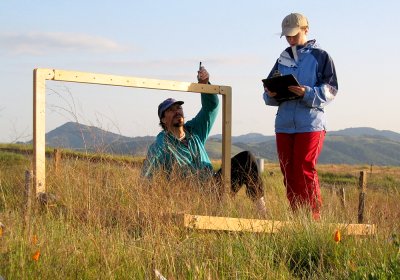 WWU biology professor David Hooper and graduate student Leslie Gonzalez measure plant diversity and productivity in experimental grassland plots in California. The Nature study uses results from over 100 experiments like this, that directly manipulate div