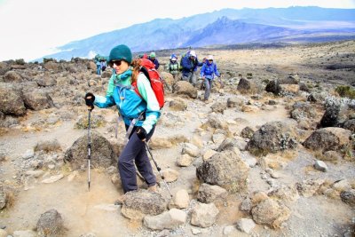 Climbing above the Shira Plateau, Kilimanjaro hikers enter the 'alpine desert' zone. Photo by Tim Scharks