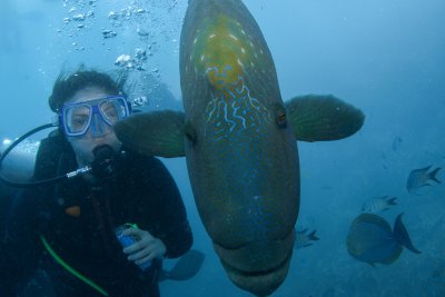 Lauren Beane with a new friend on the Great Barrier Reef, Australia 