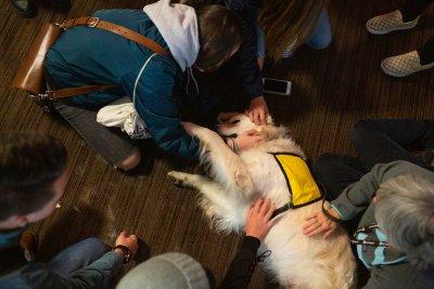 Kindness Day: Students swarm a happy support dog 